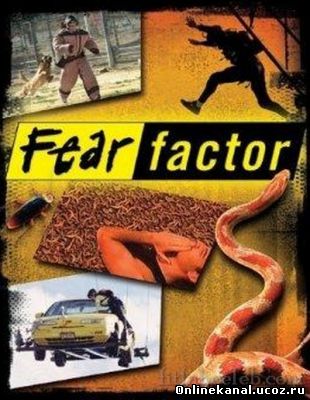 Фактор страха / Fear Factor (2001-2012) смотреть онлайн в хорошем качестве hd 720 бесплатно