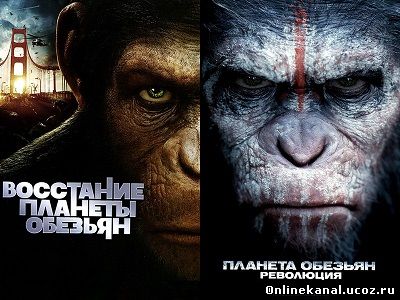 Планета обезьян. Дилогия (2011-2014) смотреть онлайн в хорошем качестве hd 720 бесплатно